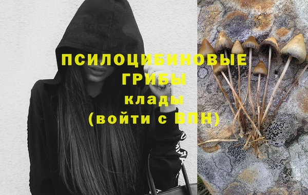 каннабис Вяземский
