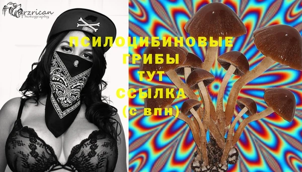 каннабис Вяземский